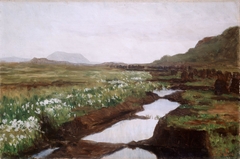 Study of a Peat Bog on Jæren by Kitty Lange Kielland