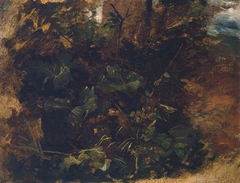 Study of Burdock and other Plants by Peter De Wint