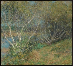 The Birches by Willard Metcalf