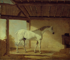 The Earl of Coventry's Horse by Benjamin Marshall