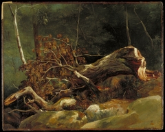 The Fallen Branch, Fontainebleau by Achille Etna Michallon