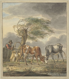 Twee jonge stieren en een koe by Pieter Janson