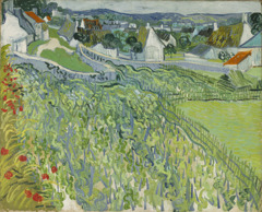 Vineyards at Auvers by Vincent van Gogh