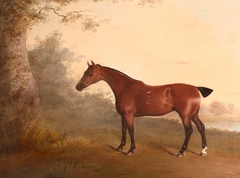 A Chestnut Hunter, known as 'The Old Chestnut', with Chastleton House in the Distance by Thomas Woodward