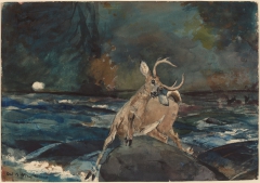 A Good Shot, Adirondacks by Winslow Homer