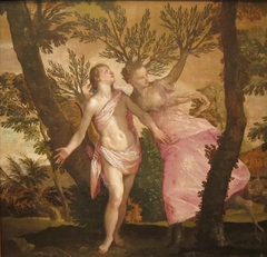 Apollo and Daphne by Paolo Veronese