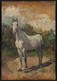 Bachelier, cheval de l'artiste by Jean-Louis-Ernest Meissonier