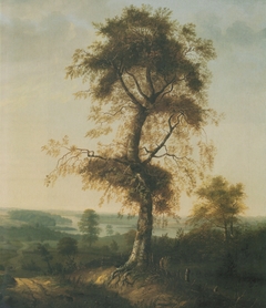 Beech Tree in Autumn by Johan Christian Dahl