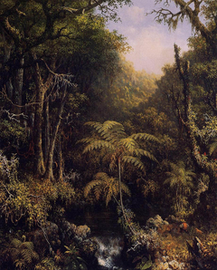 Brazilian Forest by Martin Johnson Heade