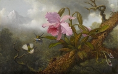 Cattleya Orchid, Two Hummingbirds and a Beetle by Martin Johnson Heade