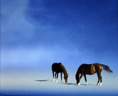 CHEVAUX - Horses -  by Pascal by Pascal Lecocq