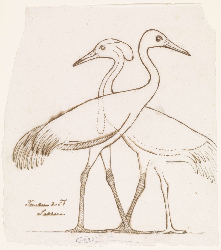 Exhibit image