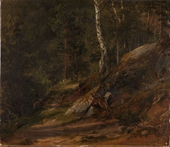 Forest Study from Romsdal by Thomas Fearnley