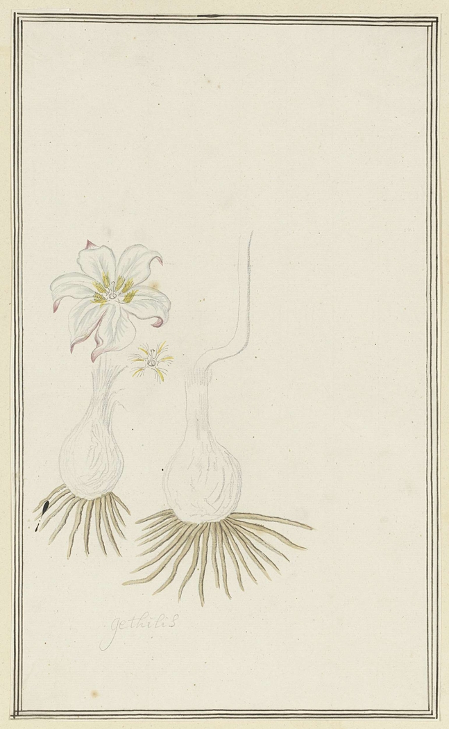 Exhibit image