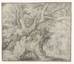 Gnarled Trees near the Water by Roelant Savery