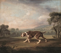 Hühnerhund by George Stubbs