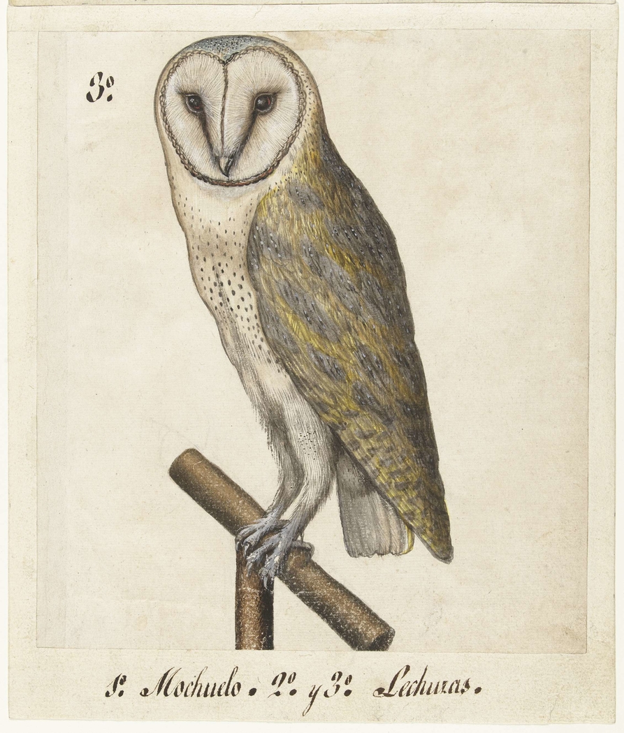 Exhibit image
