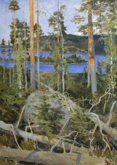 Lake in the Wilderness by Akseli Gallen-Kallela