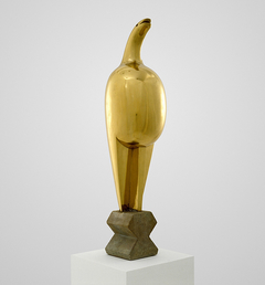 Maiastra by Constantin Brancusi