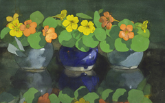 Nasturtiums by Jan Voerman