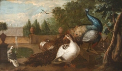 Peacocks with Duck, a Rabbit and other Fowl in an Ornamental Garden by Anonymous