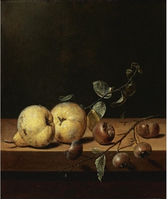 Quinces and Medlars on a Table Ledge by Jan Jansz van de Velde