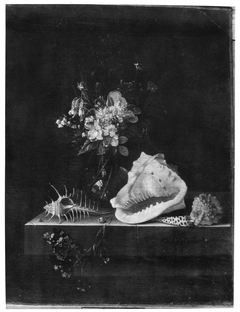 Still life with flowers, shells and a butterfly by Adriaen Coorte