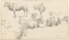 Studieblad met staande en liggende schapen by Nicolaes Pietersz. Berchem