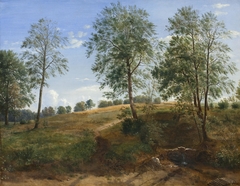 The Caroline Spring at Næsby on Funen by Dankvart Dreyer