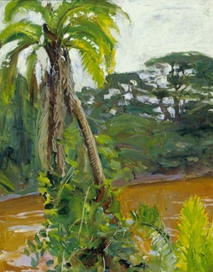 Tropical Palm Tree by the Tana River by Akseli Gallen-Kallela