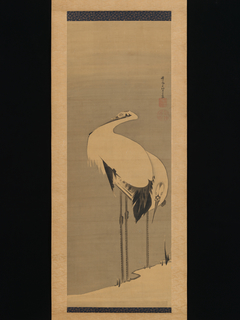 Two Cranes by Itō Jakuchū