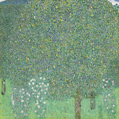 Rosiers sous les arbres by Gustav Klimt