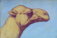 Untitled (Head of a Camel) by Vivian Smith