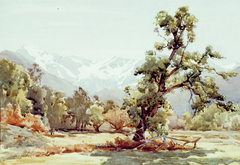 Winter Sunshine, Kaikoura by Alfred Baxter