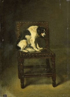 A Dog on a Chair by Guillaume Anne van der Brugghen