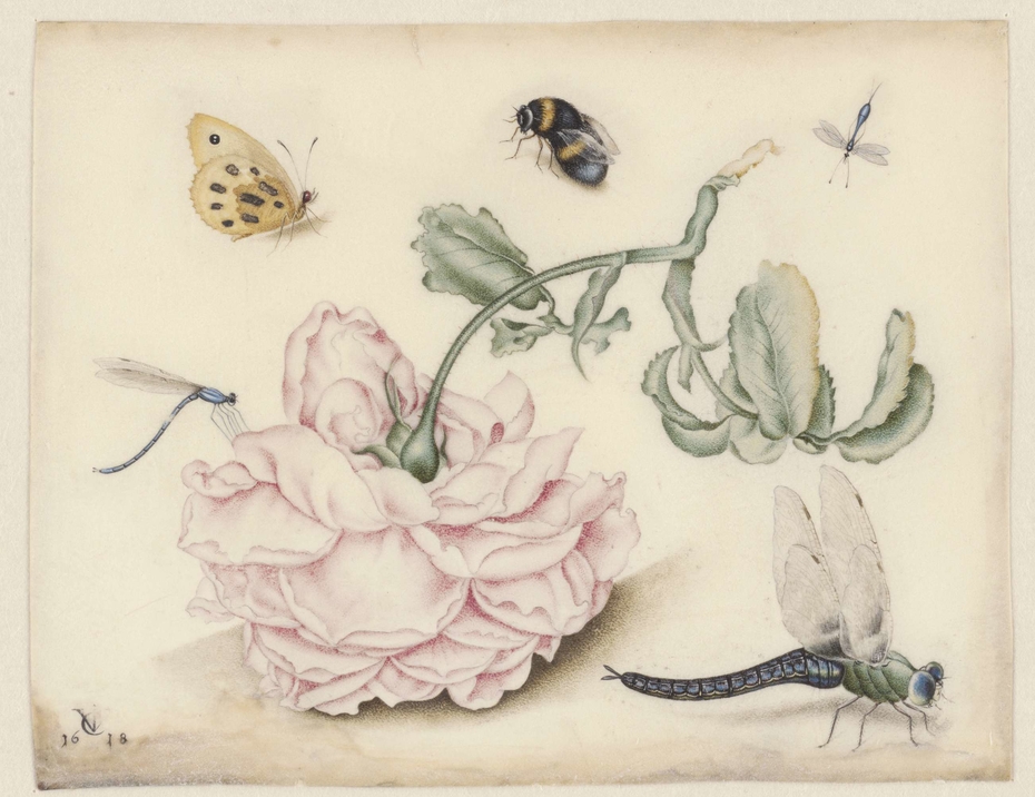 Exhibit image