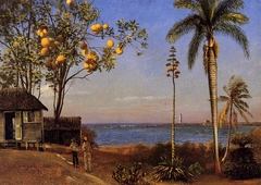 A View in the Bahamas, Oil on paper laid down on boa, 48.58 x 35.24 cm by Albert Bierstadt