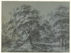 Boslandschap met een water by Simon de Vlieger