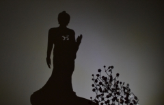 Coded shadow of the Buddha, hidden right in our DNA by Teodosio Sectio Aurea