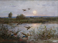 Ducks over Marshes by Aleksander Mroczkowski