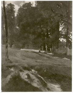 Felled trees on the edge of a wood by Carl Schuch