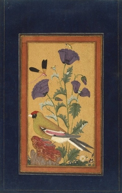 Finch, Poppies, Dragonfly, and Bee by Anonymous