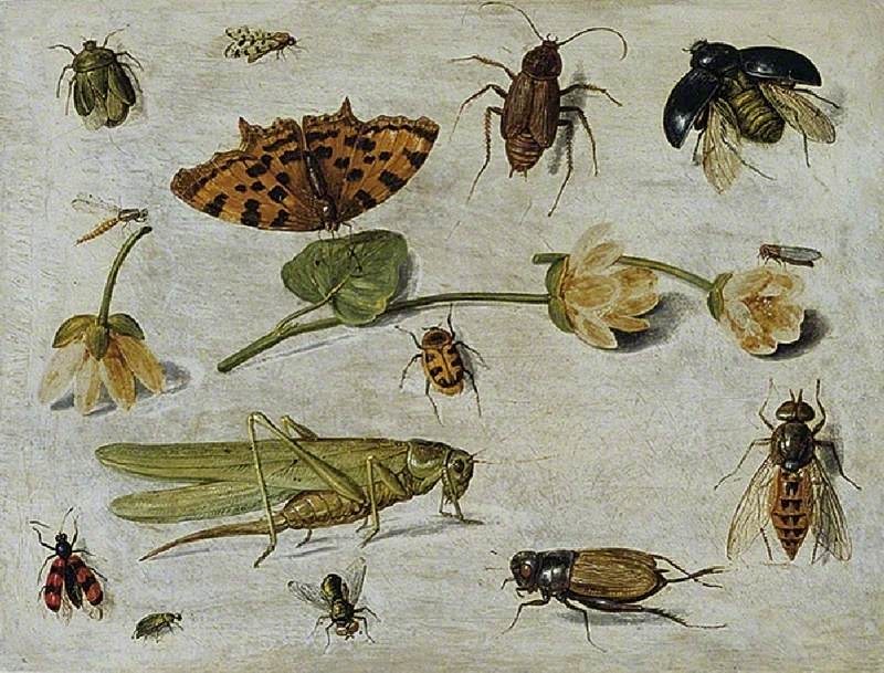 Exhibit image