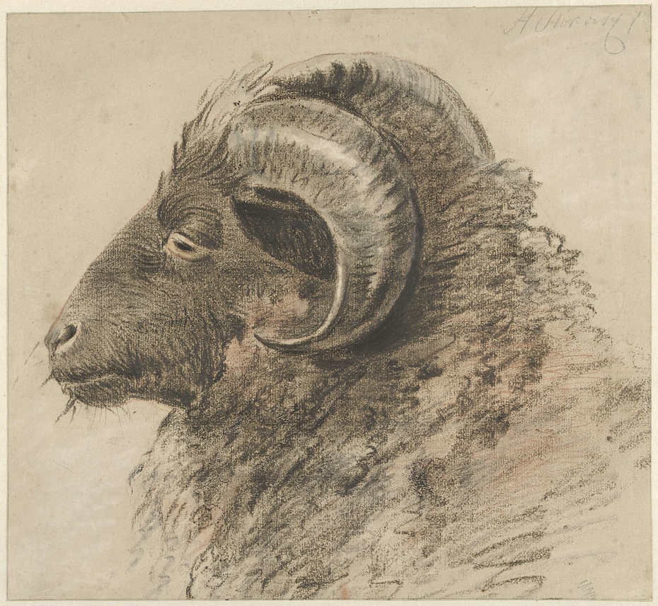 Exhibit image