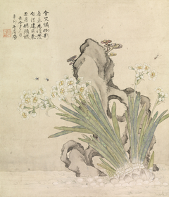 Narcissus, Rock, Bees and Linghzhi by Ju Lian