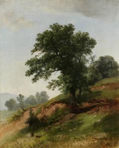 Nature Study by Asher Brown Durand