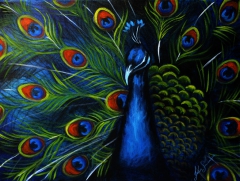 Peacock on Blue by Julie Sneeden