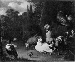 Poultry and ducks in a park by Melchior d'Hondecoeter