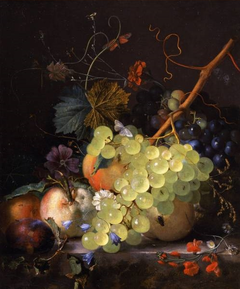 Still-life of grapes and a peach on a table-top by Jan van Huysum