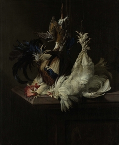 Still Life with Fowl by Willem van Aelst